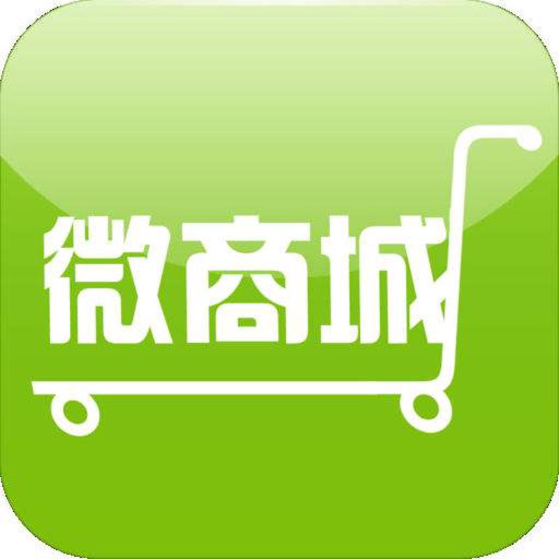 电商系统开发市场动态解析：构建未来商业竞争力