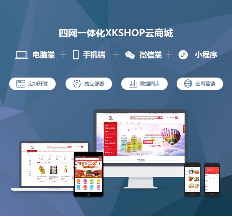 电商系统开发助力商业转型的新篇章